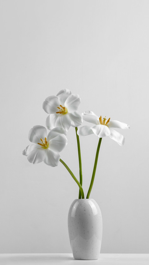 Stylish unusual tulip screenshot