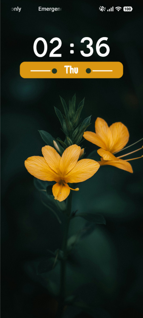 Yellow Flower screenshot