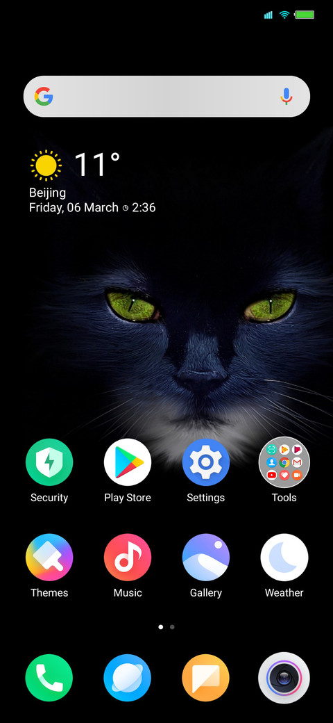 Dangerous Cat screenshot