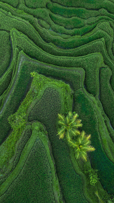 Nature Masterpiece screenshot