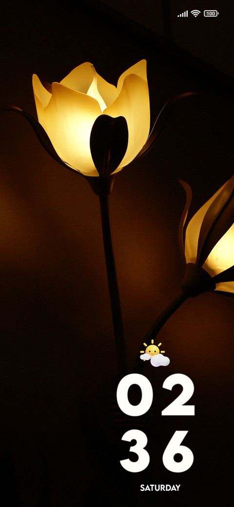 Lamps Flower screenshot