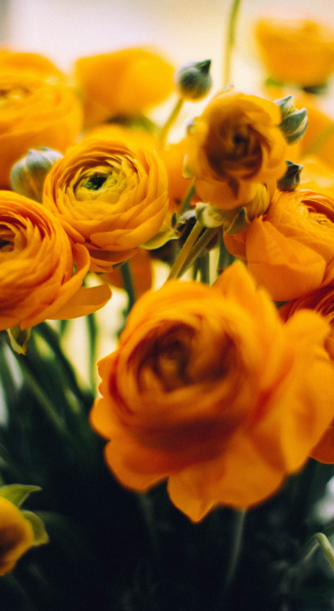 Yellow (8) screenshot