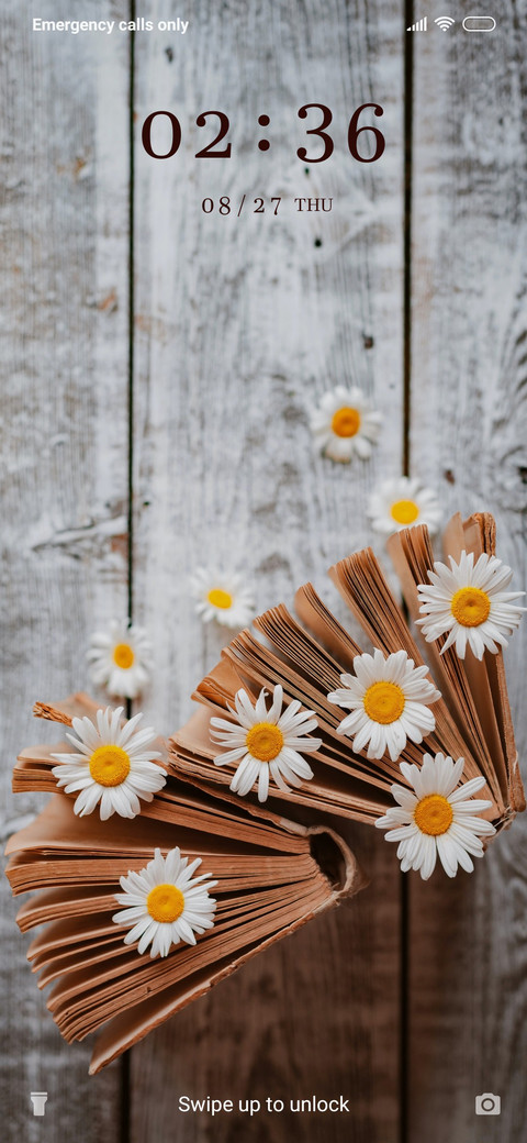 Daisies_3MDS screenshot