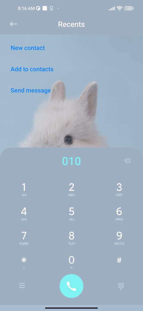 Cute rabbit screenshot