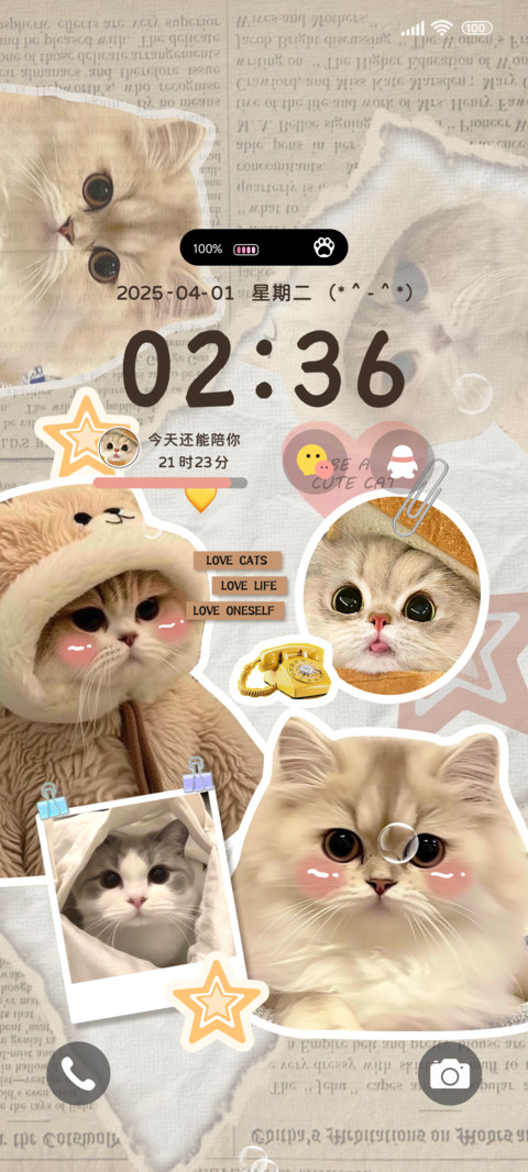ins可爱趴趴猫 screenshot