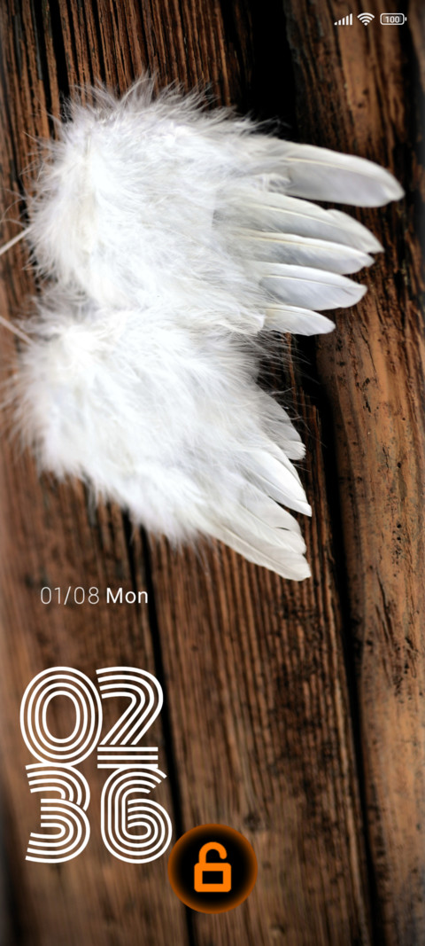 wooden feather screenshot