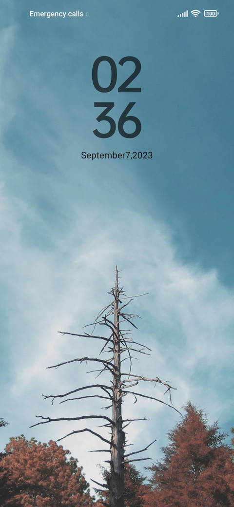 Maplewood screenshot