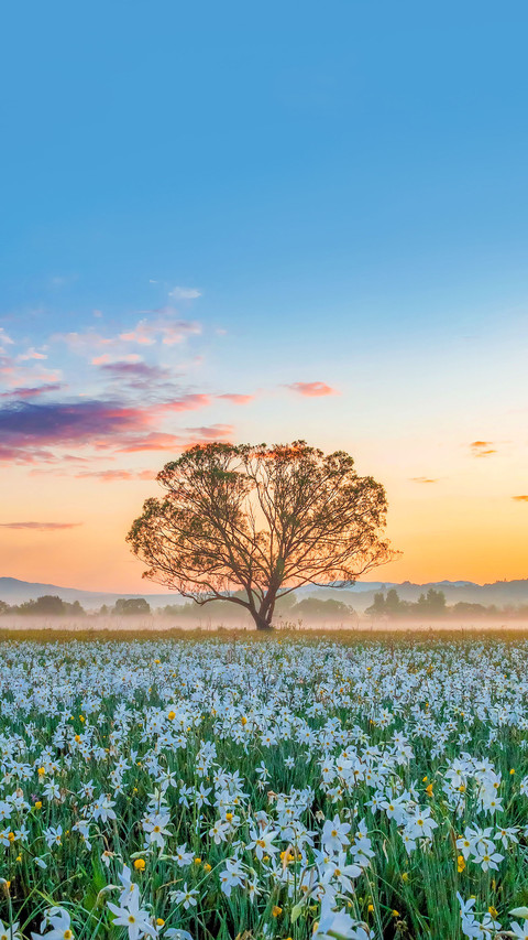 Incredible sunrise at Narcissus Valley screenshot