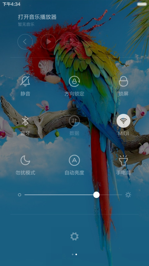 唯美鹦鹉 screenshot