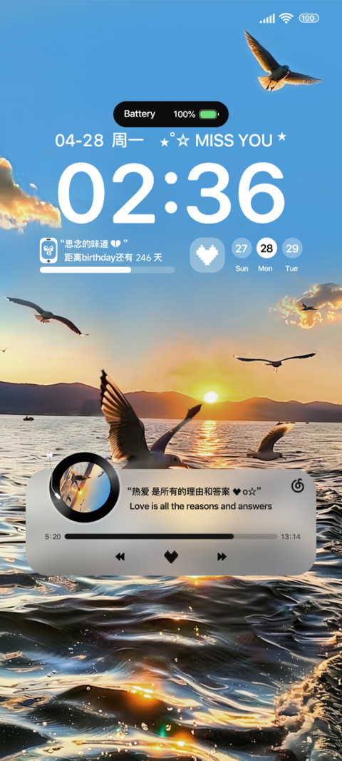 Ins落日与海鸥 screenshot