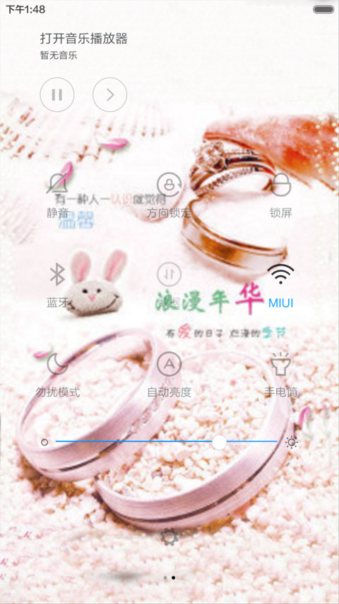 浪漫年华（动态效果+全图标） screenshot