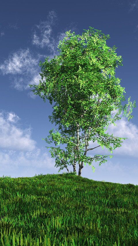 Green grass and blue sky screenshot