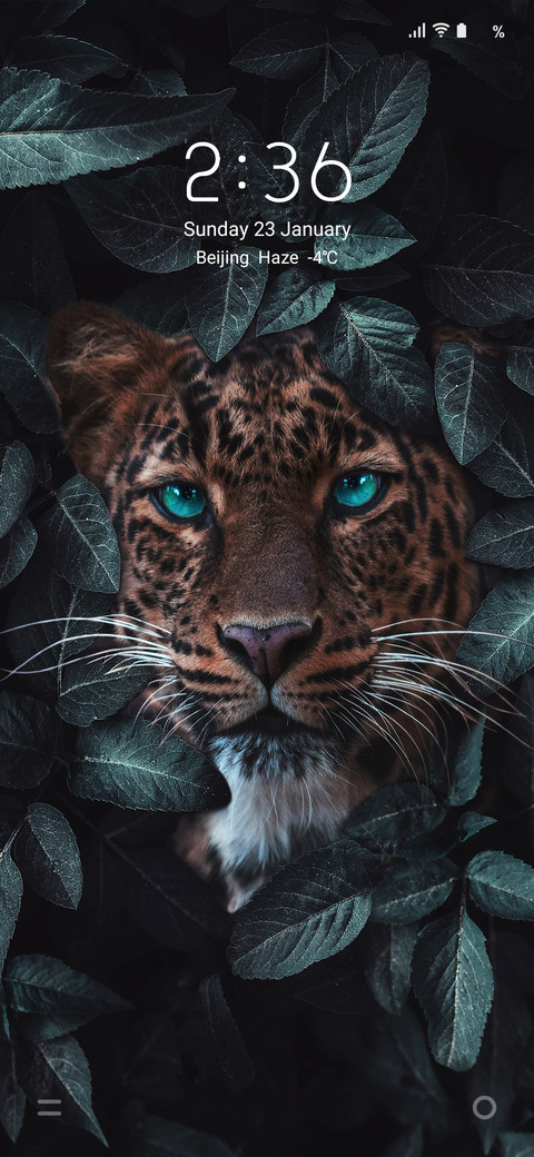 ANIMAL [WORLD] screenshot