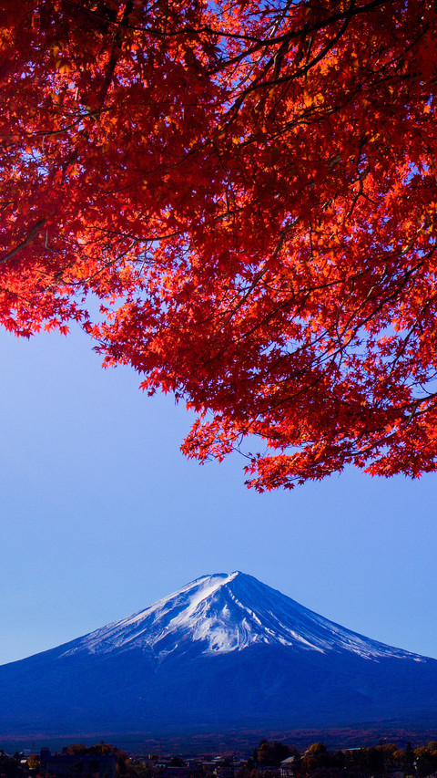 Deep fried maple leaves at the foot of Mount Fuji 40 screenshot