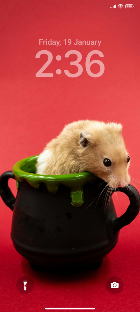 Hamster R screenshot