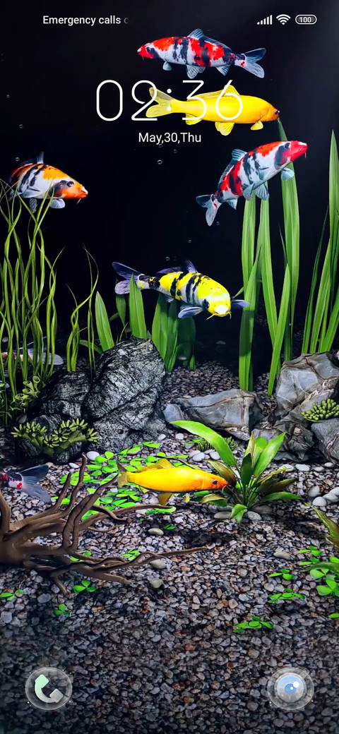Koi In The Palm screenshot