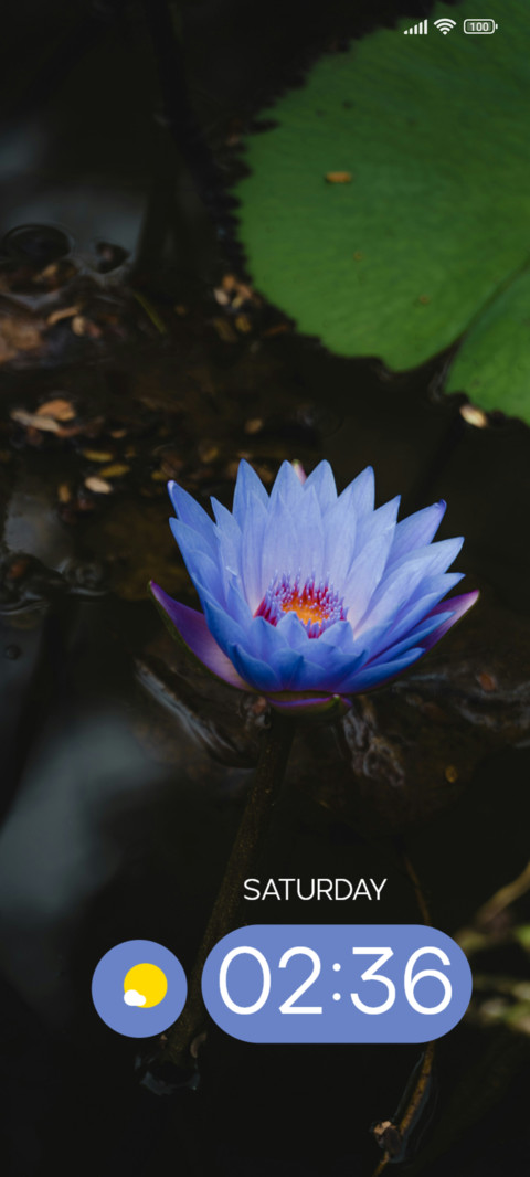 Flower Floats screenshot