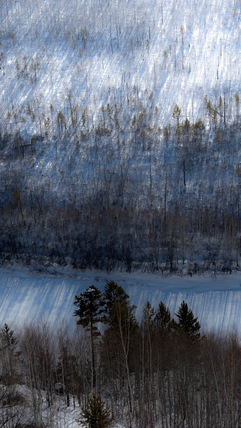 The forest sea and snowy plain shine brilliantly screenshot