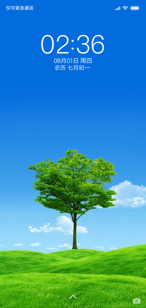 护眼 一棵树 screenshot
