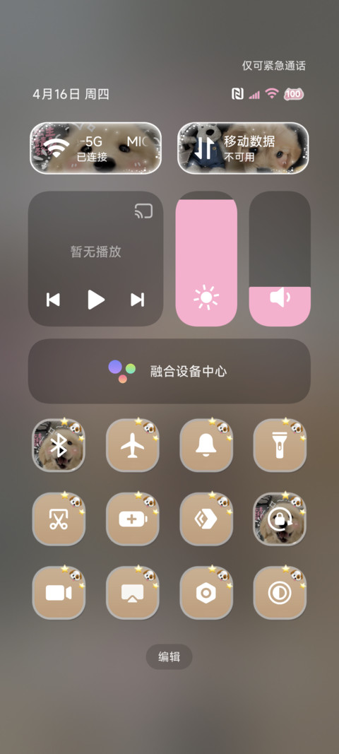 治愈发财金毛 screenshot