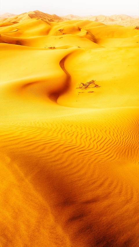 Pure desert screenshot