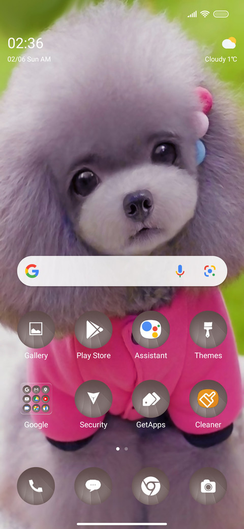 Puppy Qo screenshot