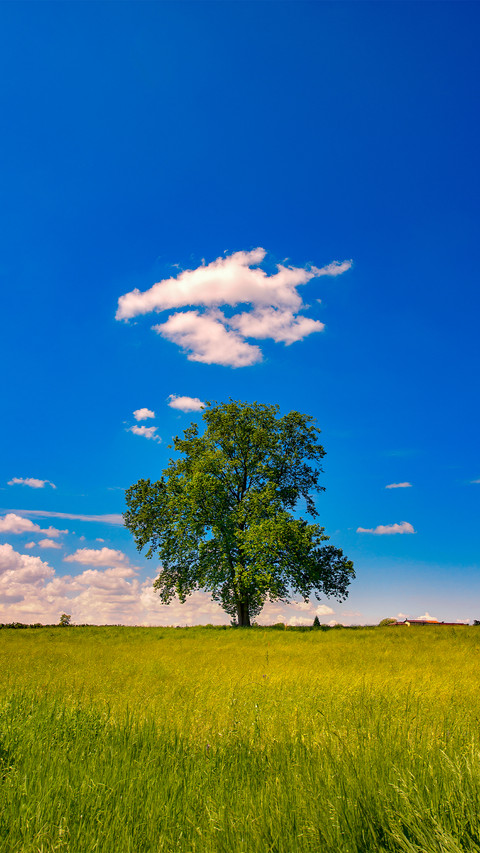 Eye protection and fresh grass screenshot