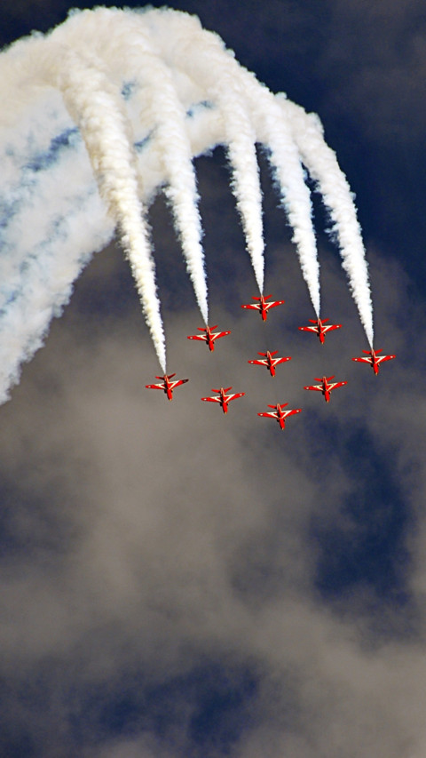 Aerial Predators (13) screenshot