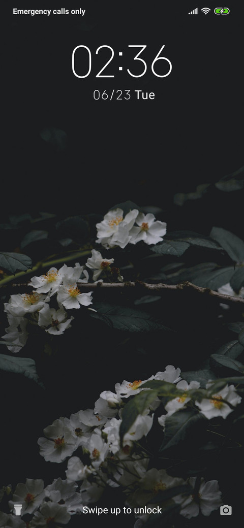 White Flower_3MDS screenshot