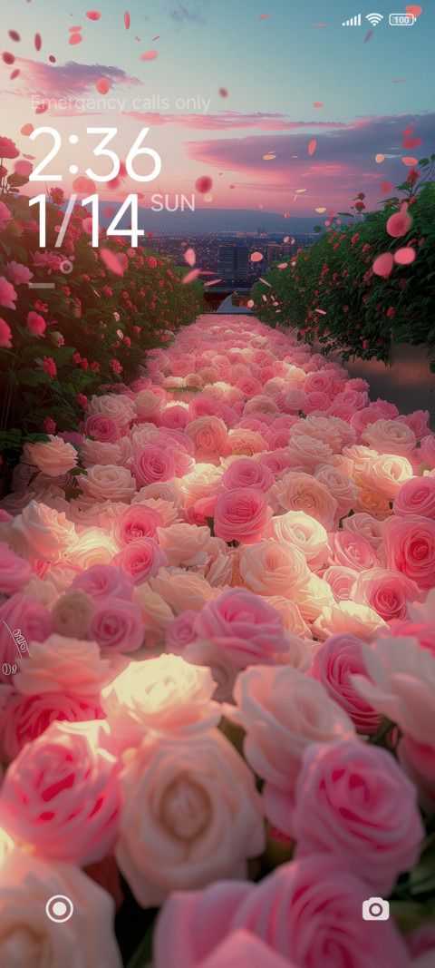 Way of the Rose screenshot