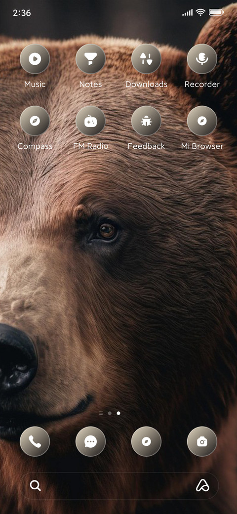 Bear screenshot