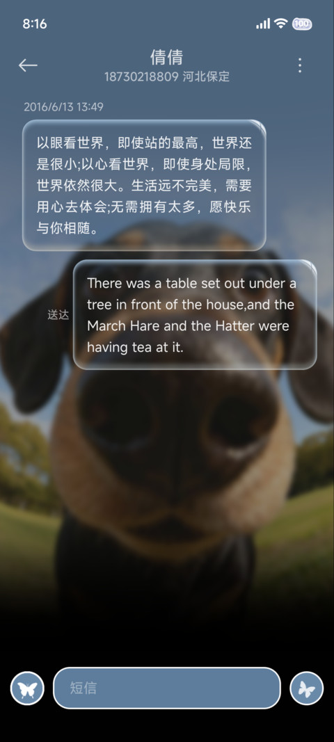 景深小狗 重力 screenshot