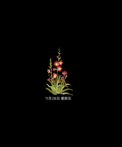 ins花园 screenshot