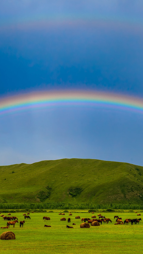 The Sky Over Hulunbeir Grassland Under the Rainbow screenshot