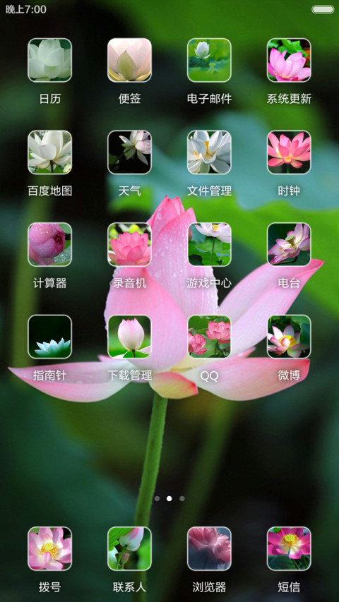 微山湖荷花（高清壁纸) screenshot