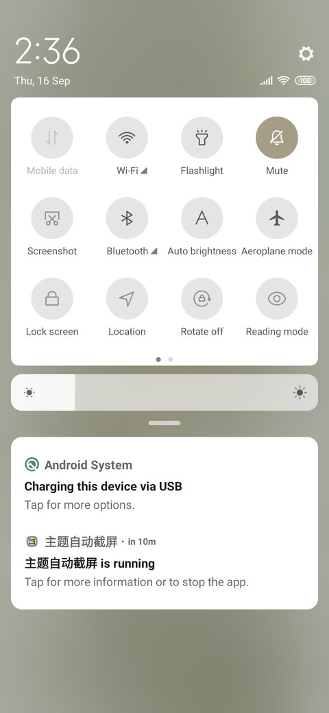 Camellia opened screenshot