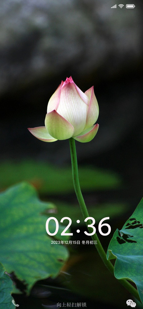 护眼盼春 screenshot