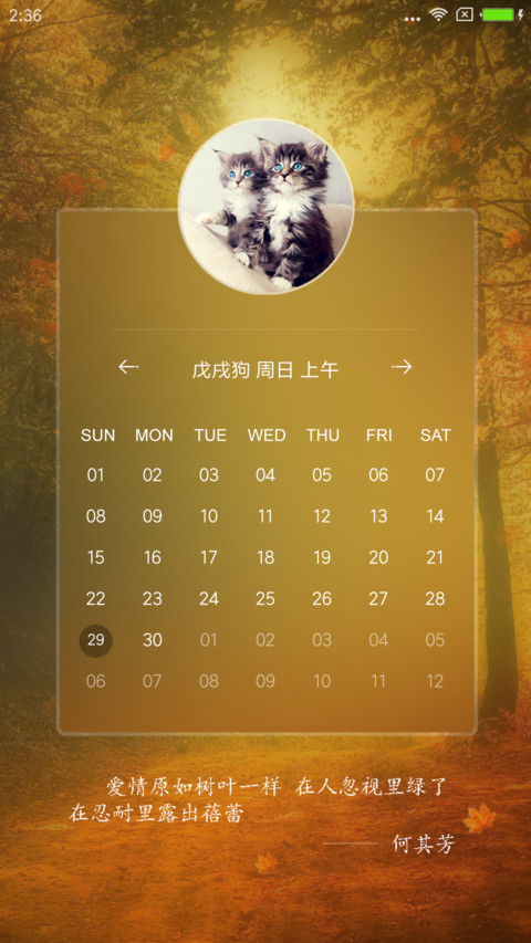 枫叶 screenshot