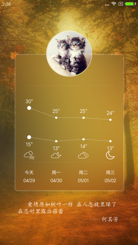 枫叶 screenshot