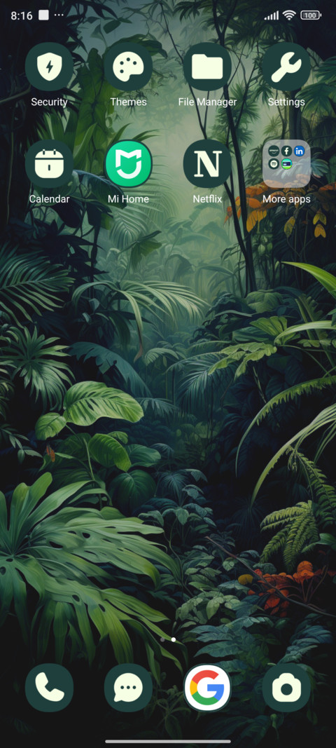 rainforest toucan screenshot