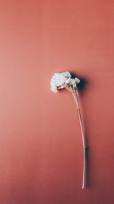 Creative wallpaper-13 screenshot