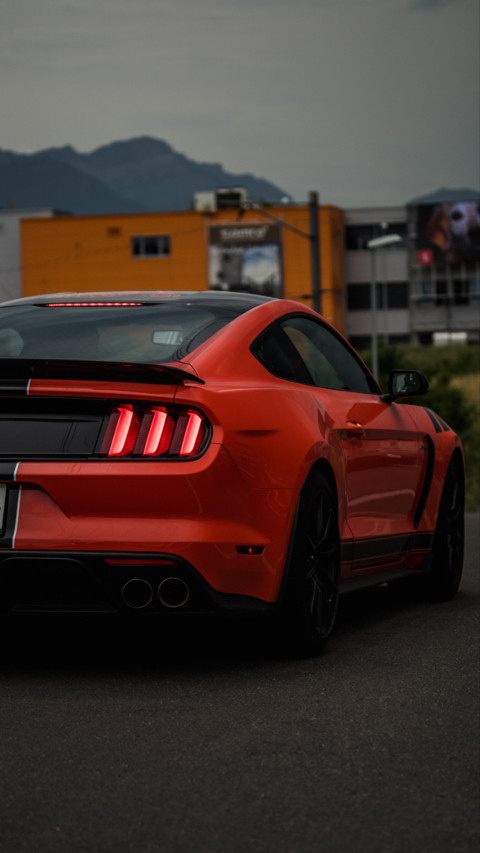 Muscle screenshot