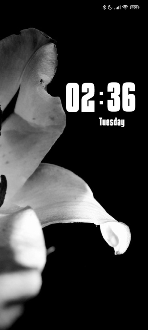 Mimosa screenshot