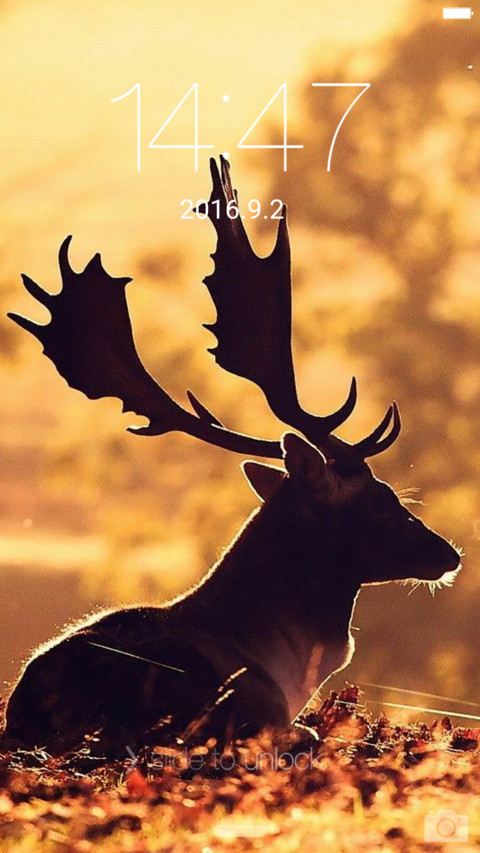 iOS Stag screenshot