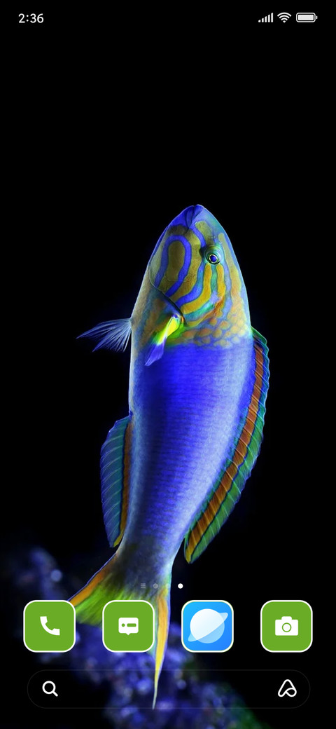 Fish screenshot