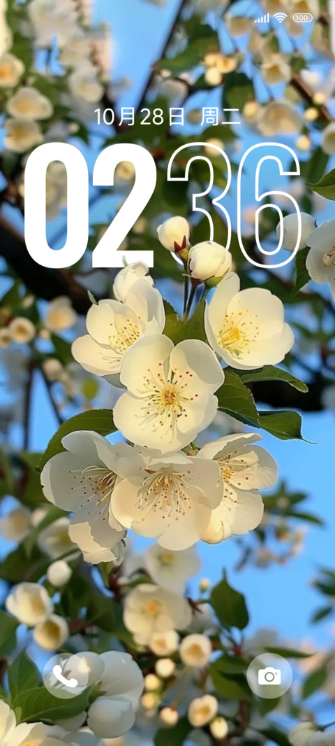 与花时 screenshot
