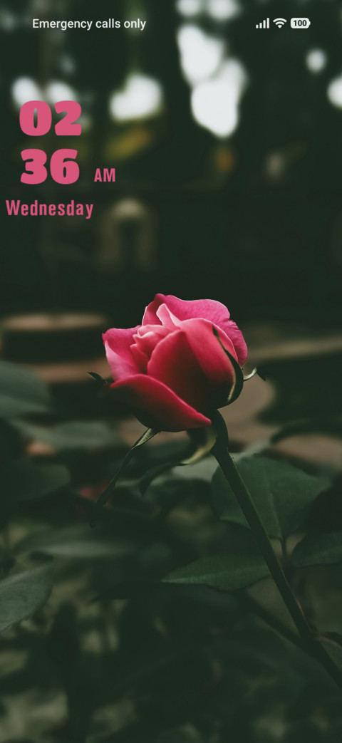 Bud screenshot