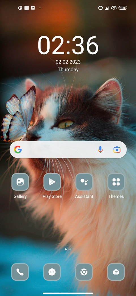 Cat screenshot