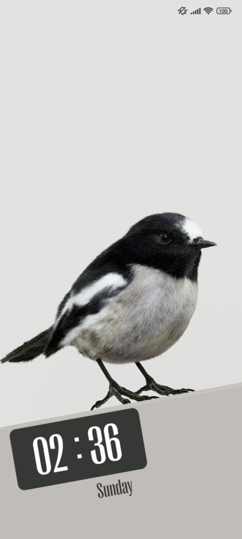 Bird screenshot