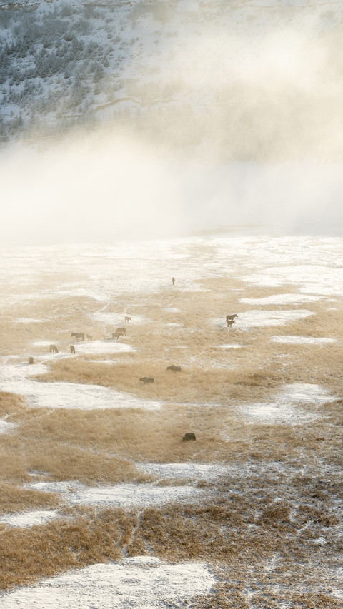 Shangri-La Morning Mist Pastoral Song screenshot